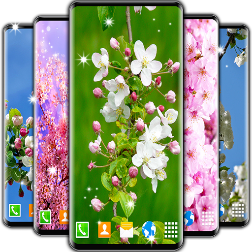 Cherry Blossom Live Wallpaper 🌸 Spring Wallpaper icon