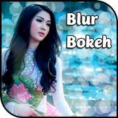 BlurBokeh : DSLR Camera Blur Effect hd Background