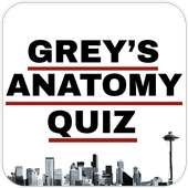 Quiz para grey's anatomy Super Grey anatomy Trivia