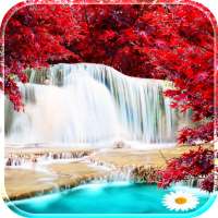 Waterfall Live Wallpaper 2021 4k HD