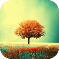 Awesome-Land Live wallpaper HD : Grow more trees on 9Apps