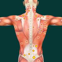 Acupressure Point Guide on 9Apps