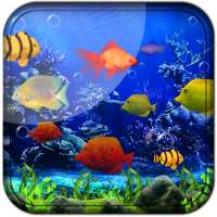 Fishes Live Wallpaper 2021 - Aquarium Koi Bgs