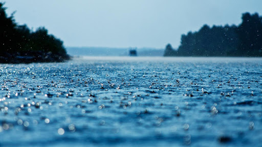 Rainy Day Nature Rain HD wallpaper  Pxfuel