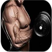 Arm Workouts on 9Apps