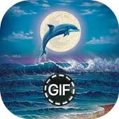 Images d'animation Moving Gif on 9Apps