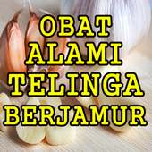 Cara Alami Mengobati Telinga Berjamur