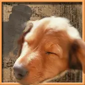 Сны Чанга APK Download 2023 - Free - 9Apps