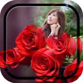 Red Rose Photo Frame on 9Apps