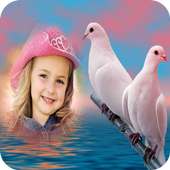 Birds Photo Frames on 9Apps