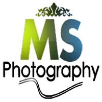 MS Photography - View & Share Photo Album