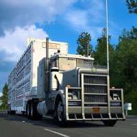 International Truck Driving Simulator Pro Tips
