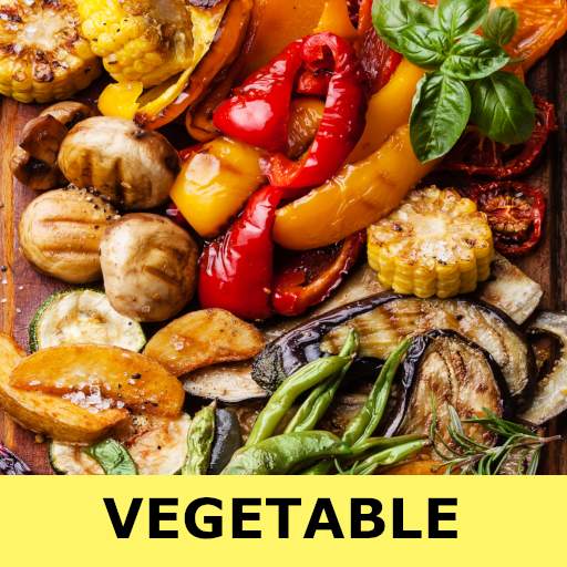 Vegetable recipes for free app offline with photo