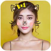 Cat Face - Photo Editor 360