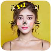 Cat Face - Photo Editor 360 on 9Apps