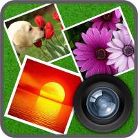 Love Collage Maker on 9Apps