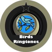 Free ringtones birds
