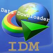 IDM - Internet Download Manager