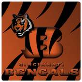 Cincinnati Bengals Wallpaper on 9Apps