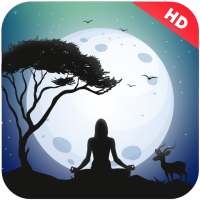 Calming Sounds Meditation Music Sleep Sounds on 9Apps