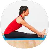 Yoga Seated Forward Bends Guide on 9Apps