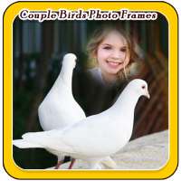 Couple Birds Photo Frames on 9Apps