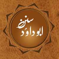 Sunan Abu Dawood Urdu Offline - English & Arabic on 9Apps