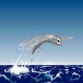 flying fish Live Wallpaper on 9Apps