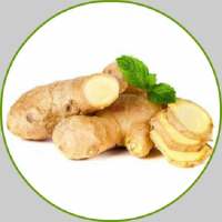 Health Benefits of Ginger on 9Apps