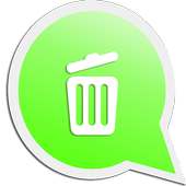 Mr Cleaner for Whatsapp Pro