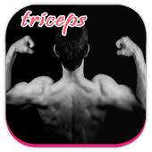 Triceps Workout Guide