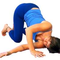 Yoga Stretches for Lower Body on 9Apps
