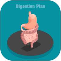 Digestion Plan