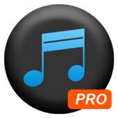 Simple Mp3-Downloader Pro