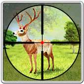 Deer Hunting Temporada