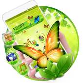 Colorful Butterfly  theme