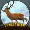 Deer Hunting- Deer Hunt Season