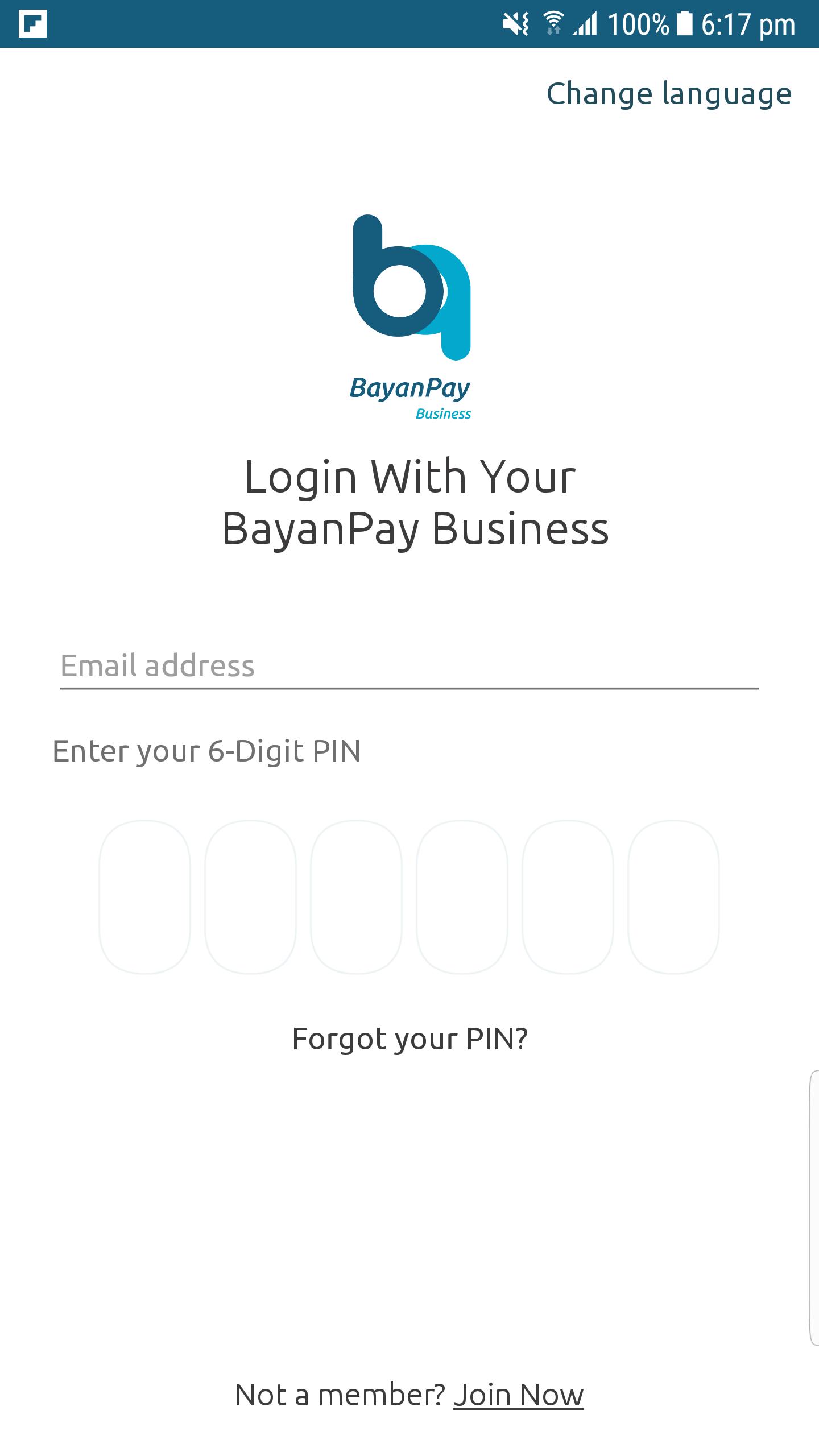 Bayanpay online