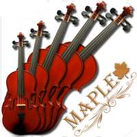 Maple Violin