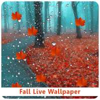 Fall Live Wallpaper