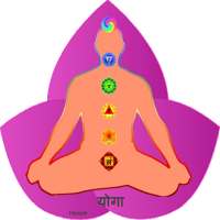 Yoga hindi on 9Apps