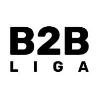 B2B-Liga on 9Apps