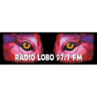 RADIO LOBO 97.7 on 9Apps
