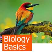 Learning Biology Basics on 9Apps