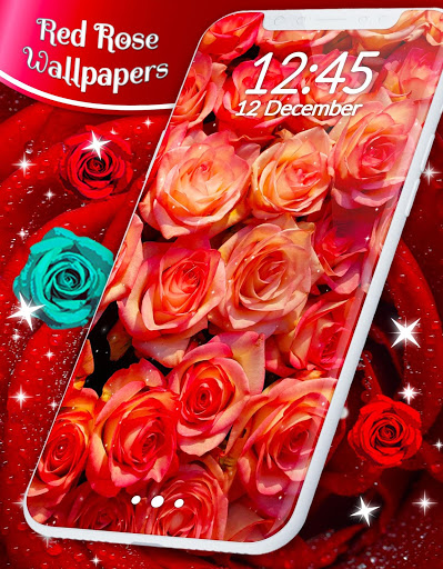 Red Rose Live Wallpaper 🌹 Flowers 4K Wallpapers screenshot 7