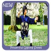 Powerful Qigong Styles on 9Apps