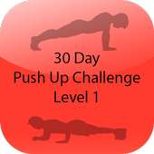 30 Day Pushup Challenge Level1 on 9Apps