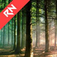 Relax Nature: Forest on 9Apps