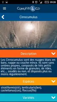 Clouds & Co screenshot 3