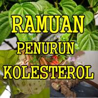 Ramuan Herbal Alami Penurun Kolesterol Lengkap on 9Apps